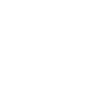 SWFI Logo