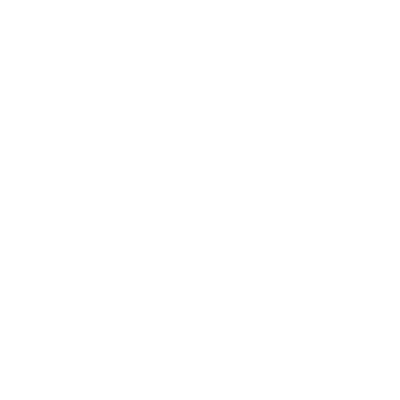 Patel family office
